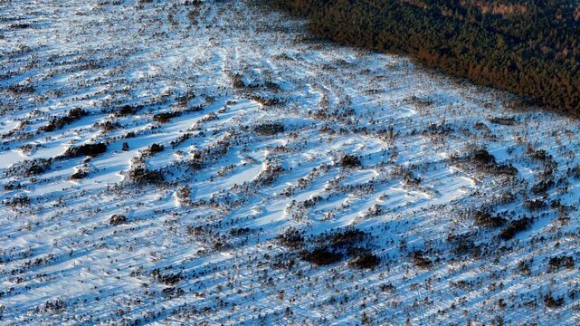 Aerial panoramic view of frozen meandering river snaking through snow covered winter wilderness forest at blue hour with soft shadows and frost during cold sunrise in remote northern subarctic region