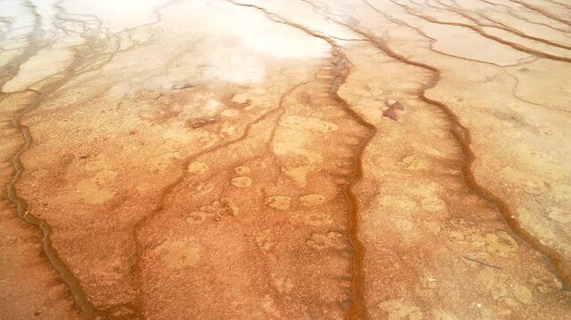 Grand Prismatic Spring close up hot springs mineral terraces layers Midway Boardwalk Fairy Falls trail Mid Geyser Basin Wyoming USA Yellowstone National Park nature landscape sunny morning pan left