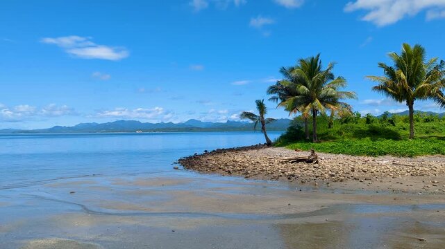 Scenic ocean view blue ocean, sky, and coconut palm trees in capital city Suva, Viti Levu in Fiji, South Pacific