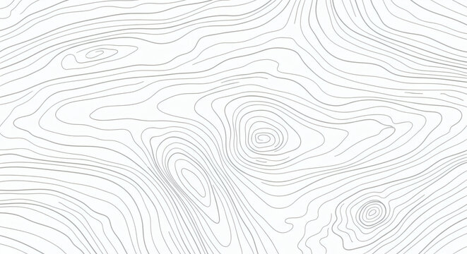 Abstract topographic map background with grey contour lines on white