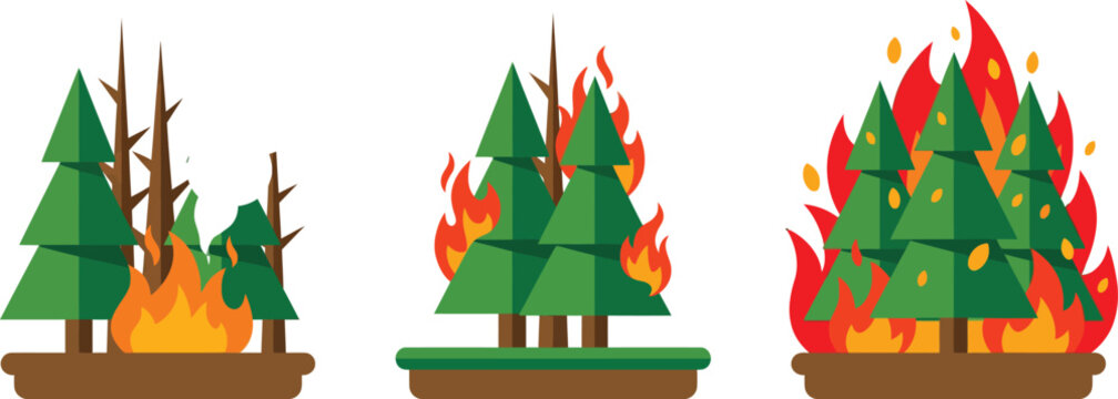 Christmas tree catching fire in stages