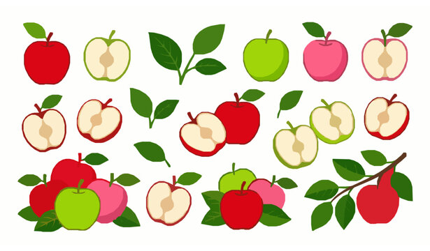 Fresh juicy apple cartoon vector collection with colorful whole and half fruits on white