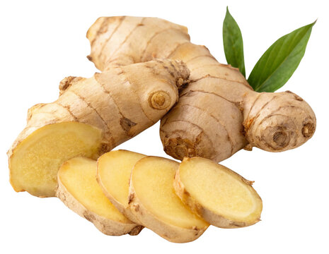 Fresh Raw Ginger Root Group with Whole Rhizome and Slices Isolated
