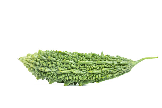 Single raw bitter gourd vegetable isolated on white background