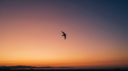 Fototapeta premium Bird flying across sunset sky