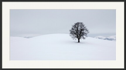 Fototapeta premium Lonely tree on snow-covered hill in winter landscape