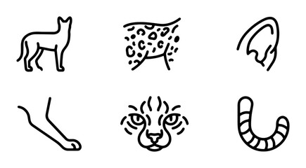 Feline Icons Set: Cheetah, Leopard, Cat Body Parts, Minimalist Line Art Vector Collection © Sultana