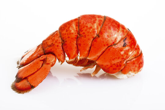 Lobster tail