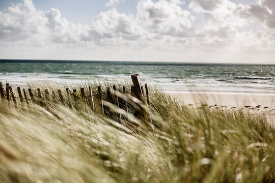 France, Normandy, Portbail, Contentin, wooden fence at beach dune