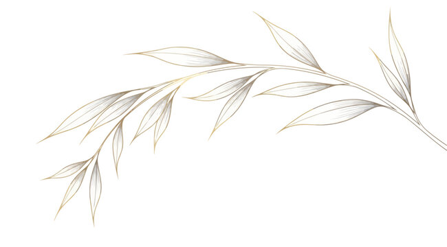 Graceful golden willow branch with slender leaves