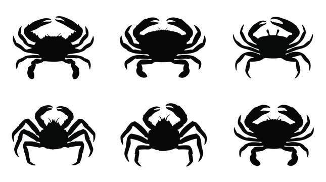 Black silhouettes of crabs and a spider