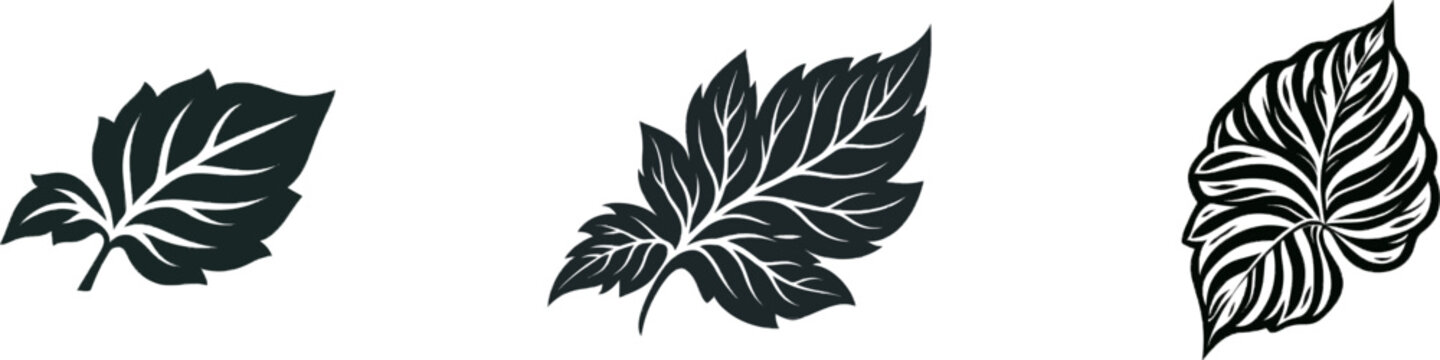 A bold black silhouette of a Coleus leaf with vibrant colors is presented on a white background in vector sticker style, showcasing clean sharp contours and high contrast for easy image traceability
