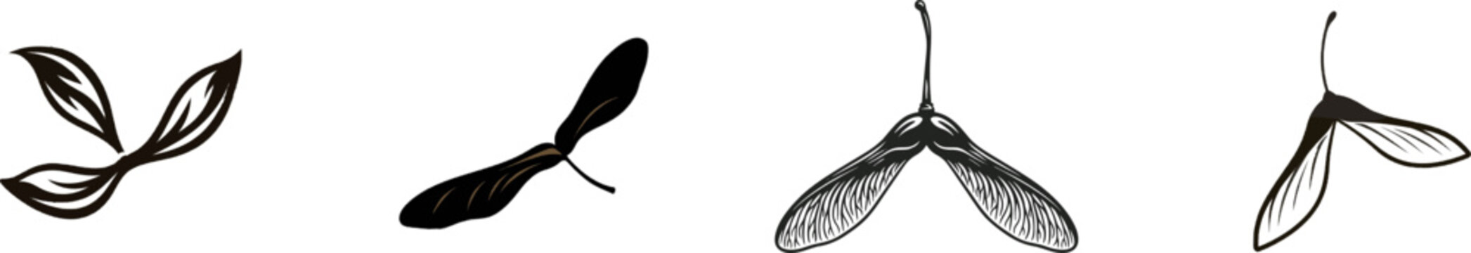 A minimalist black-and-white botanical silhouette of a maple samara winged seed against a solid white background, featuring clean sharp edges with high-contrast vector design elements