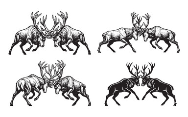 Obraz premium Set of 4 black and white vector illustrations of two male deer fighting with their antlers. Vintage engraved style, perfect for hunting logos.