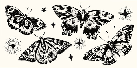 Black and white butterfly illustrations with starbursts vector graphic © Gita