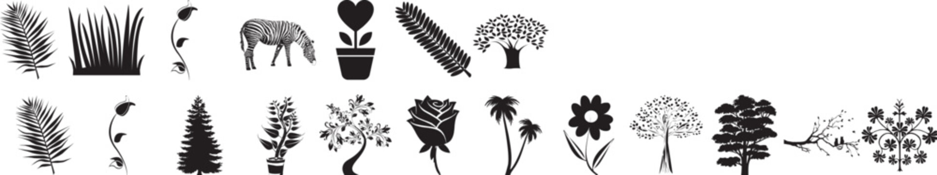 Collection Of Botanical Silhouettes On White Background