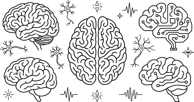 Human brain anatomy medical neurology and artificial intelligence digital circuit line icon set featuring neurons synapses and brainwaves