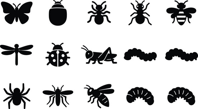 Set of black insect and bug icons in different shapes and types Vector