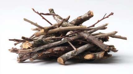 Fototapeta premium Dead tree root and branch isolated on a white background