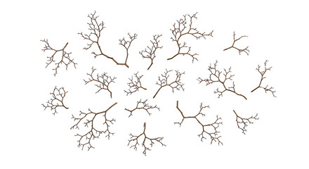 Obraz premium A collection of delicate, bare tree branches scattered across a white background, suggesting a winter or dormant season.