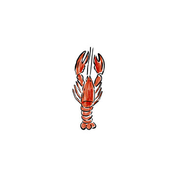 Vibrant watercolor lobster illustration, hand-drawn seafood artwork, fresh marine crustacean design, perfect for restaurant menus or culinary branding.