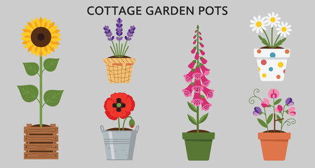 Cottage Garden Flower Pot Set Vector Sunflower Lavender Poppy Foxglove Daisy Flat Collection © AponChandro