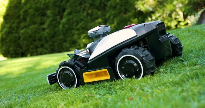 Robotic lawn mower working at garden cutting lush green grass. Automated lawn care