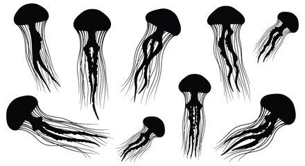 Jellyfish silhouettes collection black marine life shapes on white background © Foaje512