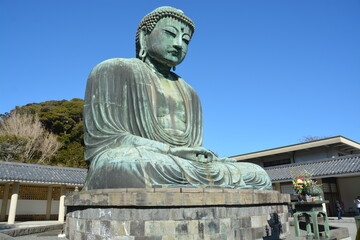 Fototapeta premium 神奈川県 鎌倉の高徳院（鎌倉大仏／鎌倉大仏殿高徳院）
