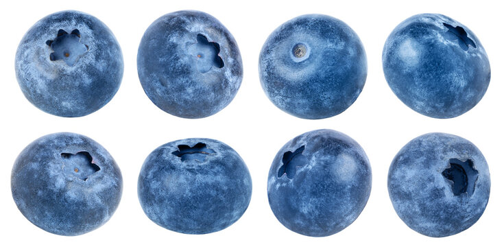 Blueberry set. Fresh raw blue berries isolated without shadow. With clipping path.