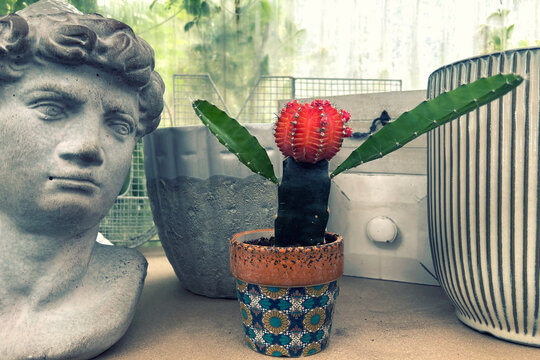 Close-up of a red cactus resembling a person with outstretched arms on a table with assorted plant pots and a statue