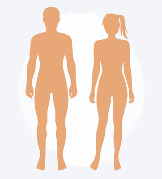 Male and female silhouettes standing, minimalist human body icons