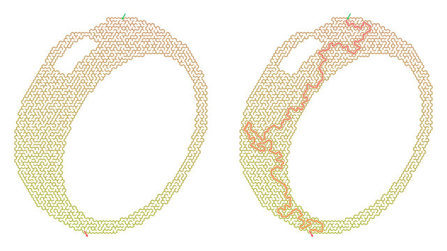 Maze in the shape of a smart ring with solution outlined  