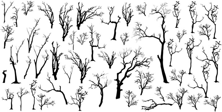 Set of isolated black silhouettes of dead trees for nature design