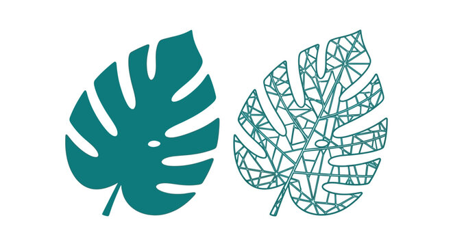 Monstera And Geometric Leaf Illustration Teal And White Background
