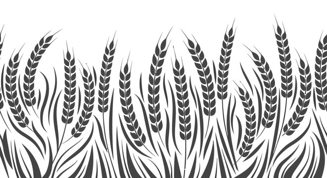 Wheat field silhouette border, seamless pattern of cereal stalks