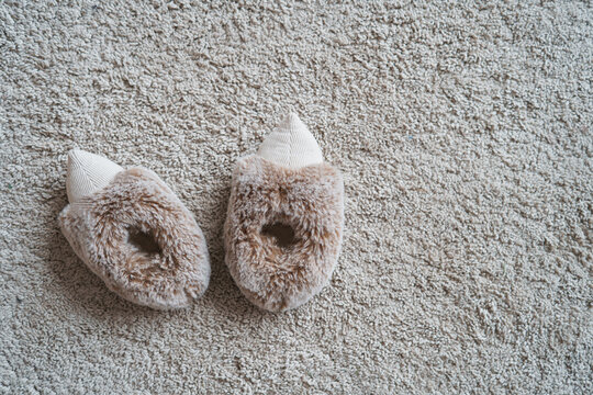 Overhead view of a pair of fluffy baby slippers on a soft beige carpet