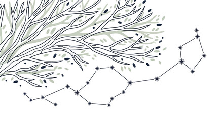 Whimsical branches and constellation in minimalist style, abstract nature © Tugi