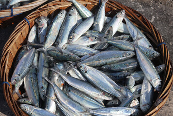 Fresh raw sardines arranged in a traditional woven basket at a seafood market © Hendri3738