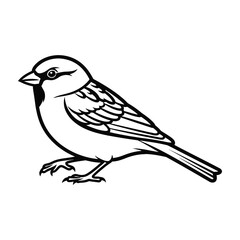 Obraz premium Small bird standing on ground looking left