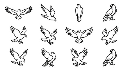 Minimalist eagle line art icons, set of 12 flying hawk and falcon vector illustrations, black outline predatory bird silhouettes for logo design © Sidra