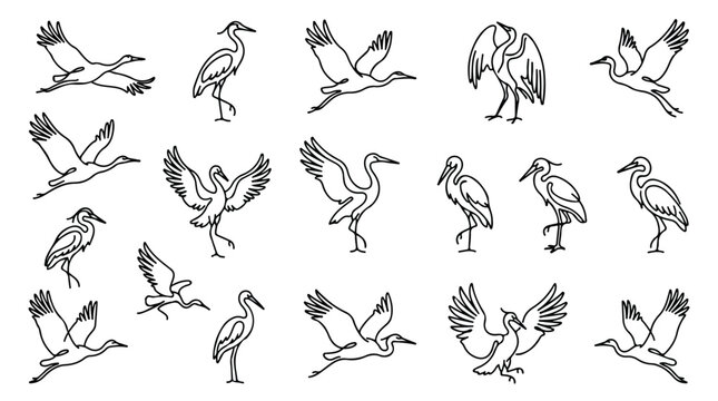 Minimalist crane bird line art collection, 18 heron and stork vector icons, elegant flying and standing bird silhouettes for logo design