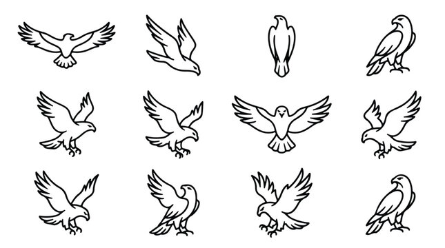 Minimalist eagle line art icons, set of 12 flying hawk and falcon vector illustrations, black outline predatory bird silhouettes for logo design