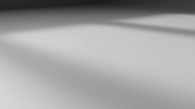Main Subject Adjectives in Slow Motion Displaying Subtle Shadows in a Minimal Scene