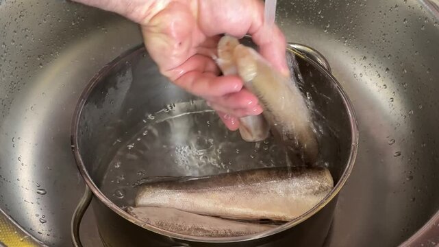 Male hand rinsing pieces of thawed hake fish under kitchen tap inside cooking pot while preparing seafood for homemade meal and traditional cooking.