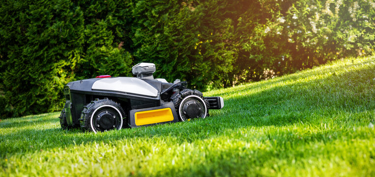 Robotic lawn mower working at garden cutting lush green grass. Automated lawn care