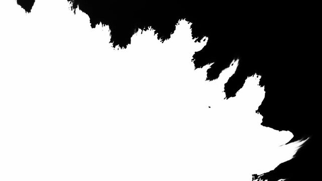 Elegant Ink Splash Transition Effect with Organic Bleed and Opener Flow Video Effect 
