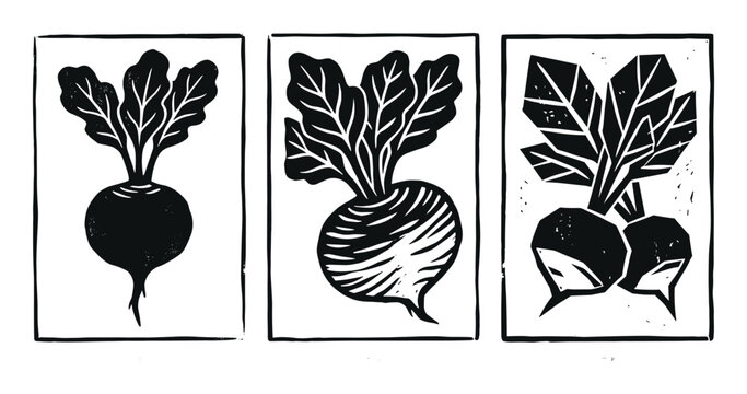Set of linocut style beet vegetables with leaves, framed