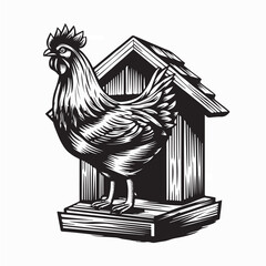 Farm Chicken Standing Near Wooden Coop Vector Art On White Background © Edo