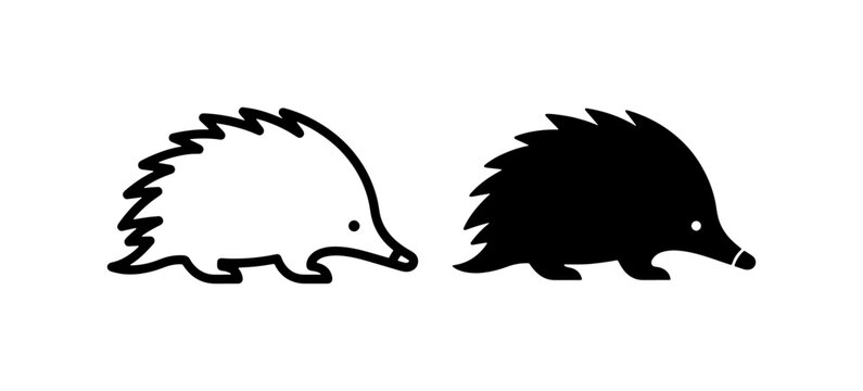 Minimalist echidna vector icons, black silhouette and outline animal set
